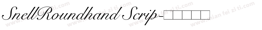 SnellRoundhand Scrip字体转换
